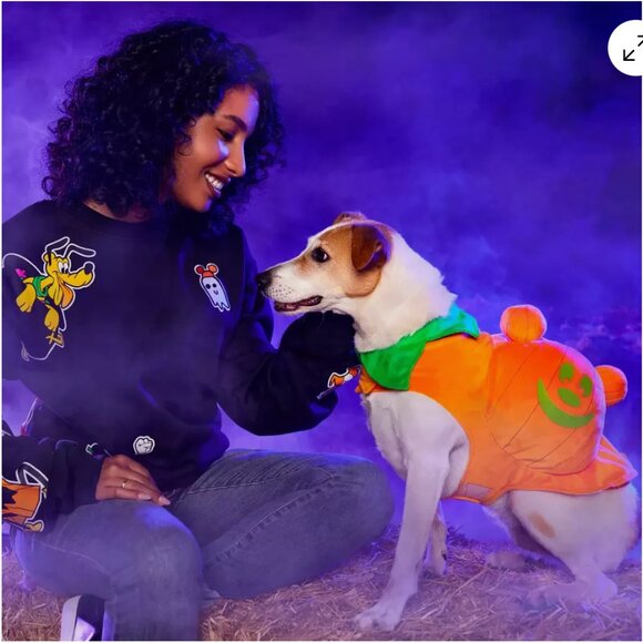 Disney Parks Mickey jack o' lantern Pumpkin Glow in The Dark Costume Pets Small - Picture 5 of 5